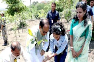 Plantation Tree: Chief Minister Shivraj Singh Chouhan planted banyan, mango and karanj plants