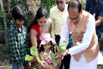 Plantation Tree: Chief Minister Shivraj Singh Chouhan planted banyan, guava and karanj saplings