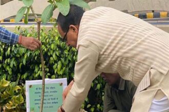 Tree Plantation: Chief Minister Chouhan planted neem, almond and jamun plants