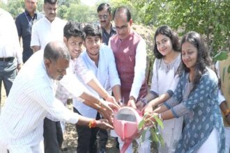 Tree Plantation: Chief Minister Shivraj Chouhan planted saplings with environment-lovers and social workers