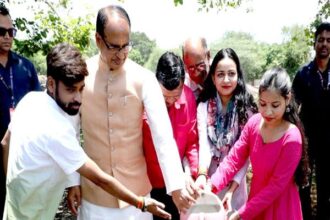 Plantation Tree: Chief Minister planted saplings of almond, gulmohar and peepal