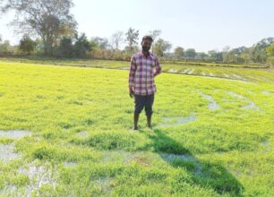 CG Millet Hub: Chhattisgarh is becoming the Millet Hub of the country... the only state in the country where millets are being bought at the support price