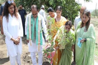 Tree Plantation: Birthday celebrated by planting saplings with the Chief Minister