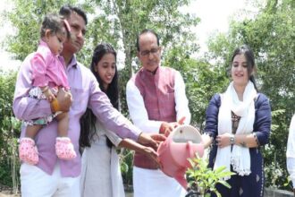 Tree Plantation: Family members planted saplings on daughters' birthday with the Chief Minister