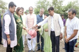 Tree Plantation: Chief Minister Chouhan planted Amla, Karanj and Kachnar plants