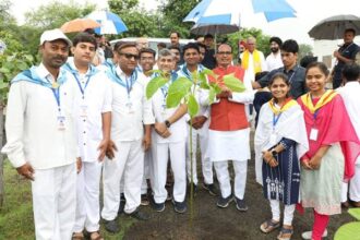 Tree Plantation: Chief Minister Shivraj Chouhan planted saplings of Neem, Karanj and Kadamba