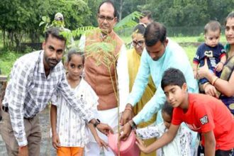 Tree Plantation: Chief Minister Chouhan planted saplings of mango, khirni and gulmohar