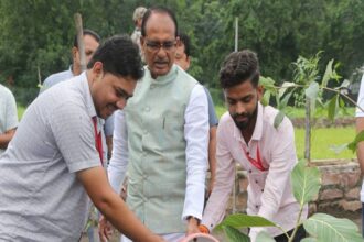 Tree Plantation: Youth planted saplings with Chief Minister Shivraj Chouhan