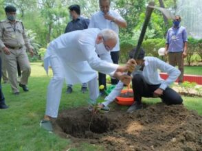 Hareli Tihar: Hareli Tihar is of greenery and greenery is the decoration of our Chhattisgarh Mahtari