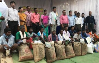 Fragrant Rice Cultivation: Fragrant paddy cultivation being done organically in Kondagaon area