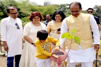 Tree Plantation: Chief Minister Chouhan planted saplings of Banyan, Jamun and Kadamba