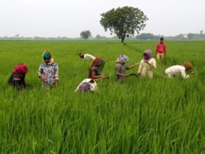 Farmer's Conference: Chief Minister Construction Workers Scheme will be launched on September 28 in Balodabazar-Bhatapara district