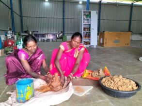 Special Article: Women are preparing attractive Ganesh idol in Ripa