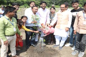 Tree Plantation: Public representatives planted saplings along with Chief Minister Chouhan