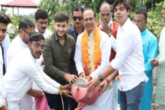 Tree Plantation: Chief Minister Shivraj Chauhan planted saplings of Belpatra, Banyan and Gulmohar.