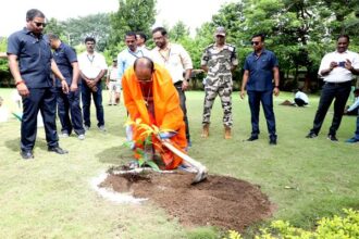 Tree Plantation: Chief Minister Shivraj Singh Chouhan planted saplings in Omkareshwar