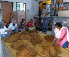 Mushroom Production and Processing: Farmers and women learned mushroom production and processing