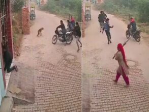 Shooter Firing: Shocking scene captured in CCTV...! This woman ran away the 'shooters' who were firing with a broom...see VIDEO